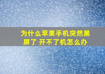 为什么苹果手机突然黑屏了 开不了机怎么办